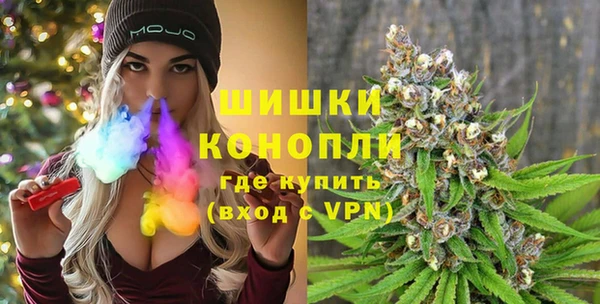 Альфа ПВП Пересвет